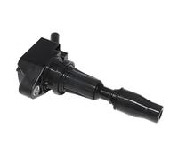 Sistemi di Riscaldamento dell'accensione Bobina di accensione OEM 273002Gga0 Bobina di accensione per Auto Hyundai per I30 per Santa Fe Codice Motore G4Kh G4Kj G4Kl Bobina di accensione Bobine