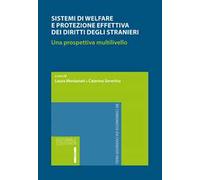Sistemi di welfare e protezione effettiva dei diritti degli stranieri. Una prospettiva multilivello