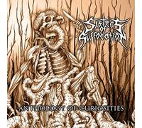 SISTERS OF SUFFOCATION - ANTHOLOGY OF.. -DIGI-