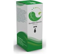 sitar Mfr 6 meridian flowers remedy gocce 30 ml