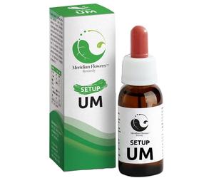 Sitar SETUP UM 10 ML MERIDIAN FLOWERS REMEDY