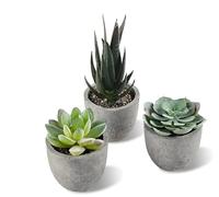 Sitbfoam 3 piante artificiali per soggiorno, piante artificiali come vero eucalipto, finta pianta per casa, camera da letto, bagno, cucina, ufficio, stanza, davanzale, casa, decorazione interna