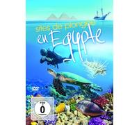 Sites de plongée en Egypte: Dahab