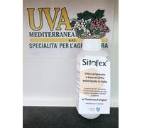 Sitofex Regolatore di Crescita su kiwi e uva da tavola Lt. 1