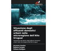 Situazione degli effluenti domestici urbani nella microregione dell'Alto Uruguai: Valutazione del destino degli effluenti domestici urbani nella microregione dell'Alto Uruguai