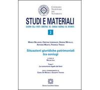 Situazioni giuridiche patrimoniali tra coniugi: Vol. 1