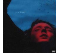 Sivan, Troye - In A Dream (2 LP)