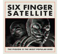The Pigeon Is The Most Popular Bird
