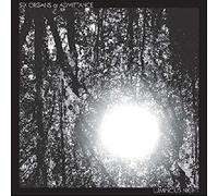 Six Organs Of Admittance - Luminous Night