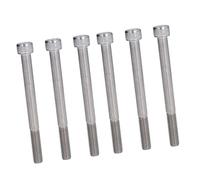 SIXRUN 10 Pezzi M10 Viti a Testa Esagonale in Acciaio Inox, Robuste e
