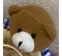 SIXRUN Adorabile Cestino Portaoggetti a Forma di Orso Materiale Unico in Paglia per permeabilità All'aria per Un'organizzazione Ordinata, Perfetto per Giocattoli per Bambini e Telecomandi (M)