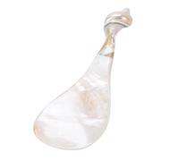 SIXRUN Cucchiaio in Conchiglia Artigianale, Manico Perlescente Cucchiaio Ergonomico in Conchiglia con Trame Naturali per Ristoranti Case Hotel Eventi