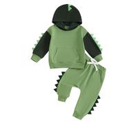 Siyova 2 Pezzi Completo Neonato di Dinosauro Felpa con Cappuccio Manica Lunga+Pantaloni in Vita Elastica Tuta Elegante Autunno Inverno per Bambini (Verde, 12-18 Months)