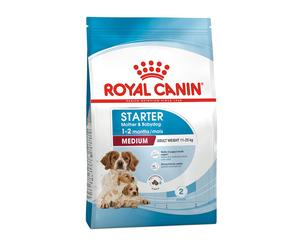 SIZE HN MINI MOTHER&BABYDOG 1K