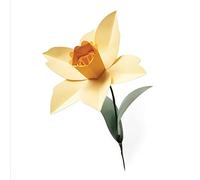 FUSTELLA BIGZ L SIZZIX "NARCISO" 665107 STAMPE PER BIG SHOT FIORI FIORE
