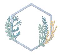 Sizzix 665179 - Set di fustelle Thinlits, 6 pezzi, telaio botanico di Jen Long