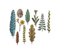 Sizzix 665215 Fustella Thinlits motivo: Funky Nature di Tim Holtz confezione da 10