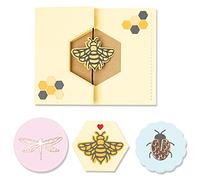 Sizzix by Chapter Thinlits Die Set 16PK Summer Spinner Card di Lisa Jones | 665886 |Capitolo 2 2022, Plastica Carta, Multicolor, One Size