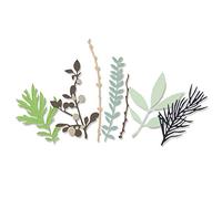 Sizzix Die 9PK Hidden Leaves Set di Fustelle Thinlits 9 pz 664581 Foglie Nascoste by Sophie Guilar, Taglia unica
