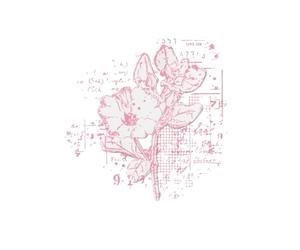 Sizzix Framelits Dies & Stamps - Floral Mix Cluster by 49 and Market, trasparente/argento