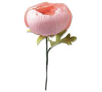 Sizzix Thinlits Die Set 5PK Ranunculus di Olivia Rose, 664925