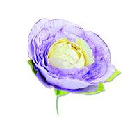 Sizzix Thinlits Die Set 5PK Spring Bloom di Jennifer Ogborn, 665811, Multicolor, One Size