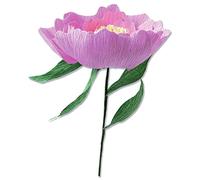 Sizzix Thinlits Die Set 5PK Wild Peony di Lisa Jones, 664926