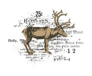 Sizzix Timbro trasparente con fustella Framelit Renna Mix Cluster by 49 and Market