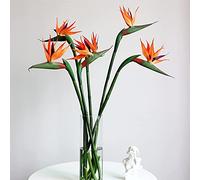 SJDWDX Strelitzia artificiale, 5 pezzi, fiori finti uccello del paradiso, 55 cm, pianta in plastica per composizioni floreali, decorazione per feste e vacanze