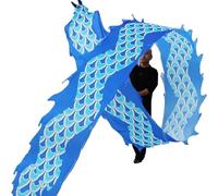 SJHDUNBW EUR Dragon Dance Streamer Fitness 19,7 Piedi 26,2 32,8 39,4 Lungo for Nastro Giocattolo for Bambini Principianti(Blauw,10m/32.8ft)