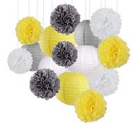 SJHFKDK Lanterne di Carta da Esterno 15 pz/Set Bianco Blu Party Paper Big Lantern Tissue Pompons Flower Honeycomb Ball Bambini Decorazione di Compleanno(3)