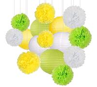 SJHFKDK Lanterne di Carta da Esterno 15 pz/Set Bianco Blu Party Paper Big Lantern Tissue Pompons Flower Honeycomb Ball Bambini Decorazione di Compleanno(8)