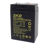 SK4-6 - BATTERIA AL PIOMBO SKB 4V 6AH SK4-6 F1