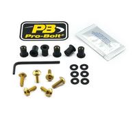 SK6G BOLT KIT SCREEN GOLD GSX-R 1000 Z 1 MILLION COMMEMORATIVE EDITION 2013