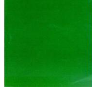 Skankin' Pickle The Green Album (Vinyl LP) 12" Album