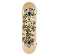 Skateboard Complete skateboard Barded Wire 8.375" Ghettoblaster