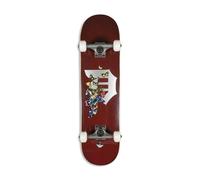 Skateboard Completo P Colony Sporco Primordiale - Multi