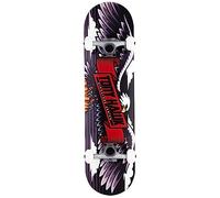 Skateboard completo Tony Hawk skateboard entry level PROFESSIONALE Serie Principiante Tony Hawk Originale garantito (8.0", Wingspan special)