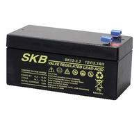 SKB Batteria al Piombo Ricaricabile