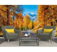 skdhlifpj Carta Da Parati Foresta pluviale 3d Tessuto Non Tessuto Fotografia Strada Autunnale Panorama Con Montagne Innevate Bosco Di Betulle Dorate 250cmx175cm Camera Da Letto Soggiorno Sfondo