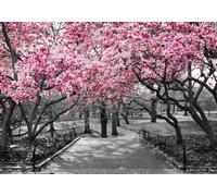 skdhlifpj Carta Da Parati Paesaggio naturale 3d Tessuto Non Tessuto Fotografia Grande Albero In Bianco E Nero Fiori Di Magnolia Rossa Panorama Del Parco 350cmx245cm Camera Da Letto Soggiorno Sfondo