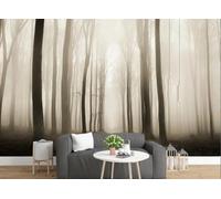 skdhlifpj Carta Da Parati Retrò 3d Tessuto Non Tessuto Fotografia Paesaggio Retrò Con Sentiero Nel Bosco Avvolto Da Nuvole Grigie E Bianche 400cmx280cm Camera Da Letto Soggiorno Sfondo