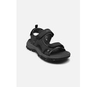 Skechers - Prewitt - Rigdon Grigio - Sandali e scarpe aperte - Taglia 44 44 Grigio