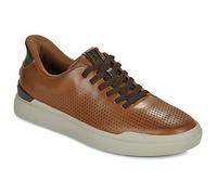 Skechers Scarpe OWEN CONNELL SLIP-INS in Marrone 42