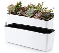 Skelang 2 Pz Vasi da fiori autoinnaffianti, vaso da fiori rettangolare con indicatore del livello dell'acqua, vaso da finestra per piante d'appartamento, piante grasse, germogli, pepe
