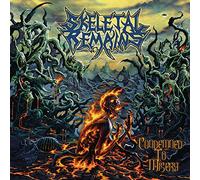 Skeletal Remains Condemned to Misery (CD) Album
