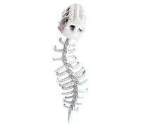 Skeleton Costume - Dinosaur Skeleton Spine Set, Cosplay Outfit With Accessories For Role Play, Women Men Adults Kids, Perfect For Performances Outdoor Events Christmas Birthday | Party Dress