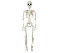 Skeleton Decor, Halloween Figurina, 15,75 x 3,94 x 1,38 Inches Full Body Poseable Statua, Realistic Bone Structure, Skull Ornament for Party, Tabletop, Yard, Porch, Outdoor Display, Horror Setups