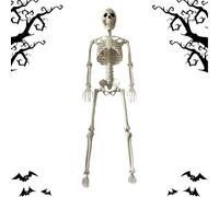 Skeleton Decor With Movable Joints - 35.4 Inch Realistic Human Bone | Halloween Decorations Outdoor Yard Lawn Garden Porch Party Haunted House