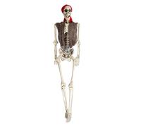 Skeleton Decorations Life Size - Halloween Decor for Photo Backdrop Haunted